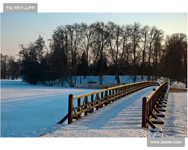 冬季湖畔的静谧与魅力雪景融汇成画般的绝美景致