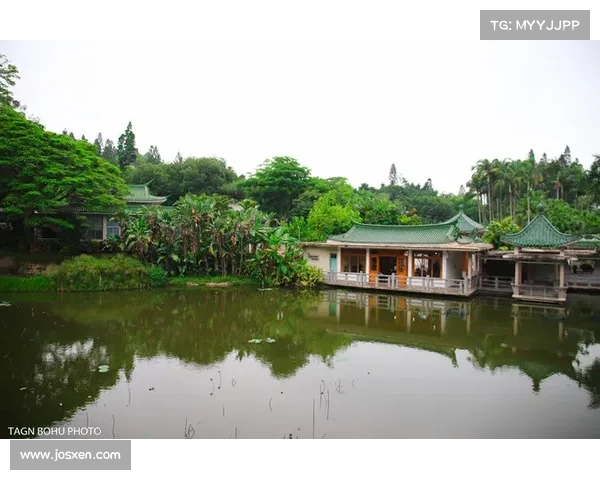 冬日湖畔秘境探访:在寒冷中享受一片宁静与自然的静谧时光 冬日湖畔秘境探访:在寒冷中享受一片宁静与自然的静谧时光