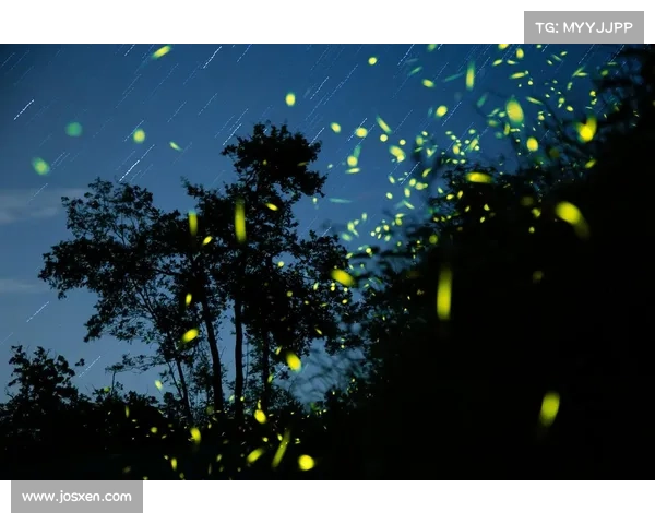 荧光森林的静谧力量:内心重生与深层冥想 荧光森林的静谧力量:内心重生与深层冥想