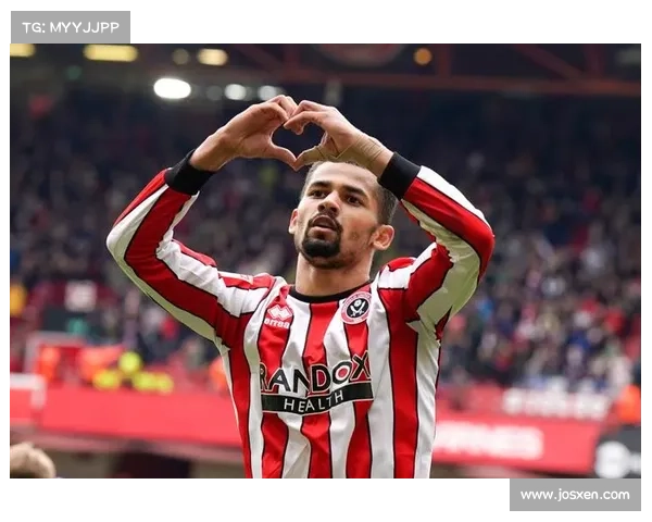 加的夫城足球队历史与联赛表现全面解析